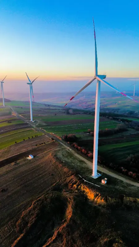 Sustainability